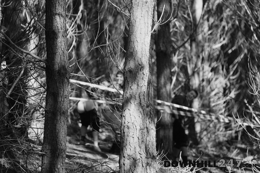 There's a good reason the tree is in focus here, for some riders it was a full moon during their run...