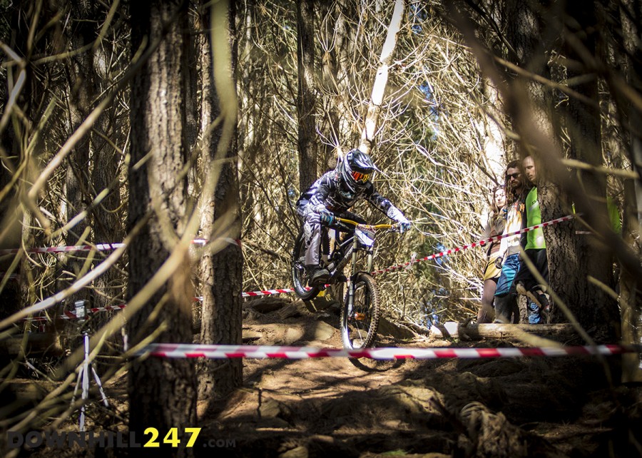 Benetts rarely sees riders out of the pine forest, which is great for camera types to sniper shots between the branches such as this!