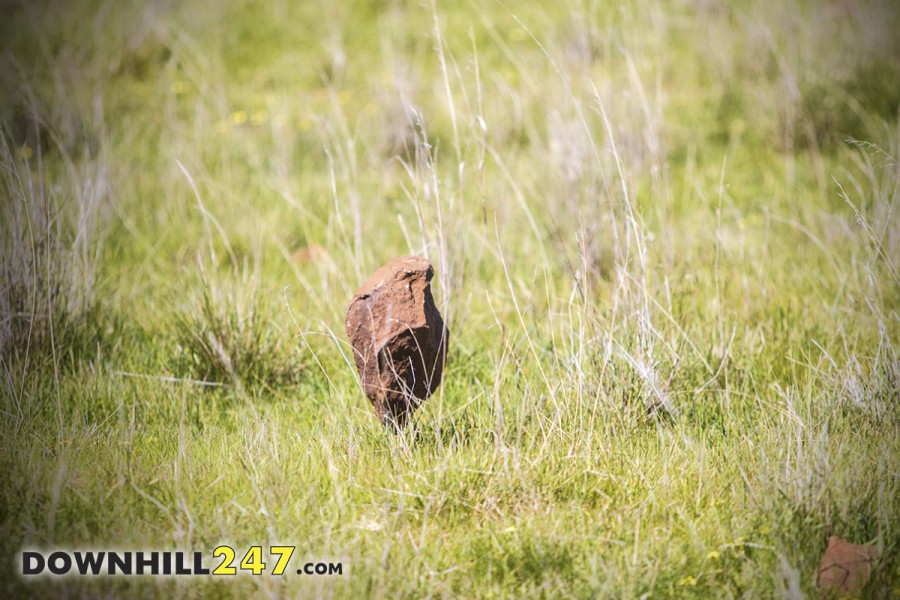 Talking about rocks, this rock got dislodged in a rock garden midway down the track but it didn't stop rolling and made it's way almost all the way down the hill, dangerous for sure but not what you would expect to see coming towards you, it was more likely to be a bike/rider!