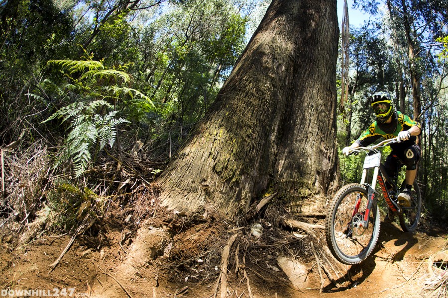 Kyle Coutts pushes past a massive tree, quite a cool feature!