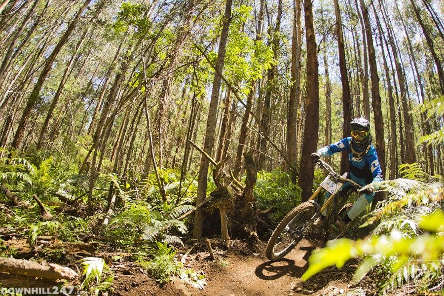 Angus Jackson pushes through the sun drenched fern forest.