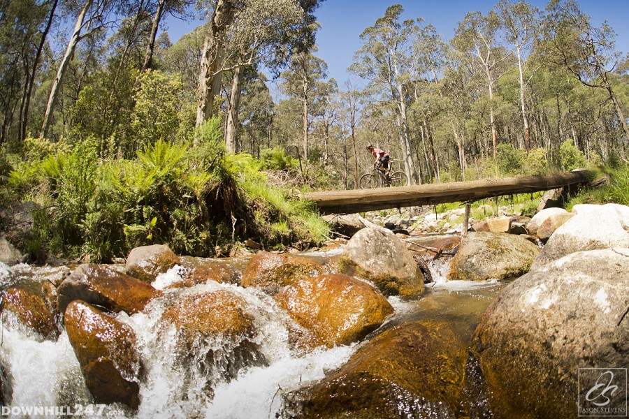 One of the more picturesque crossings, this time theres no getting wet while crossing one of many bridges on the Delatite River trail.