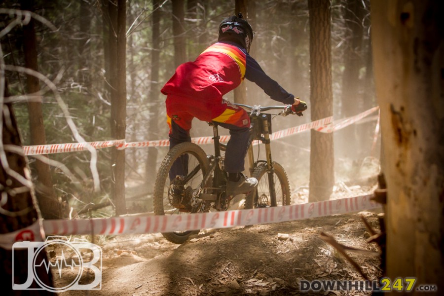 Dust was hanging around in the forest sections, just in case you needed more of a challenge!