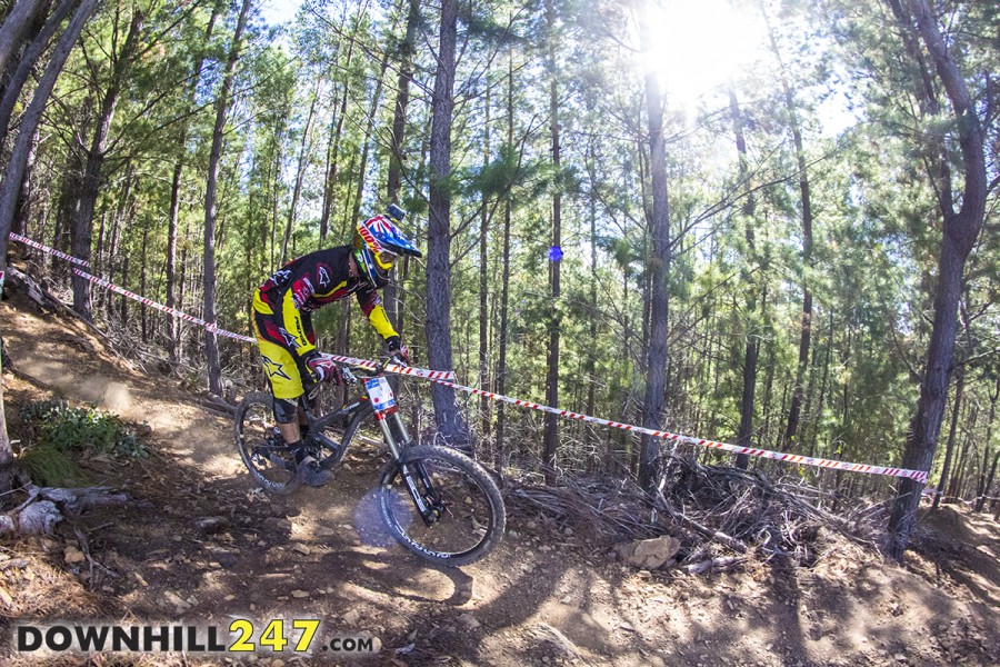 Epic scenery in Bright, with a mix of native vegetation and pine forests, Mic Hannah rolling on by.