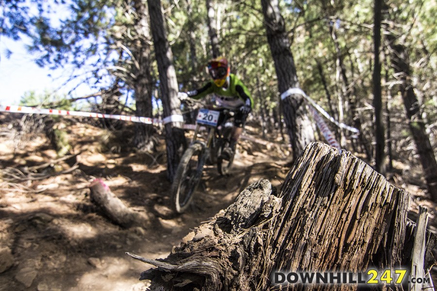 Some riders were struggling to see the wood from the trees today!