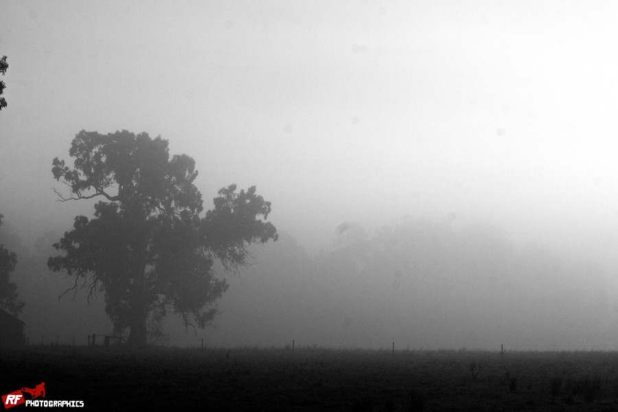 Slightly ominous on the drive up to Fox but the good weather prevailed.