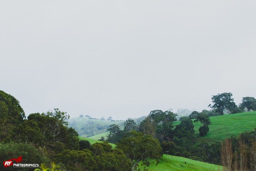 Look at that amazing view out over the race course to the city of Adelaide below! Errr hang on... That's right!