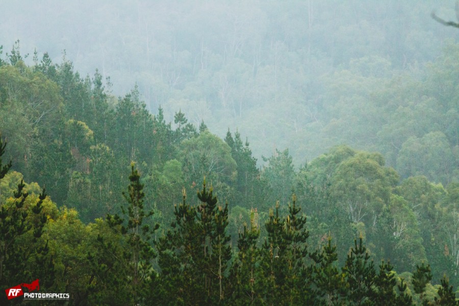 Is it just Fox Creek that makes Mother Nature bring the precipitation, you have to think so...