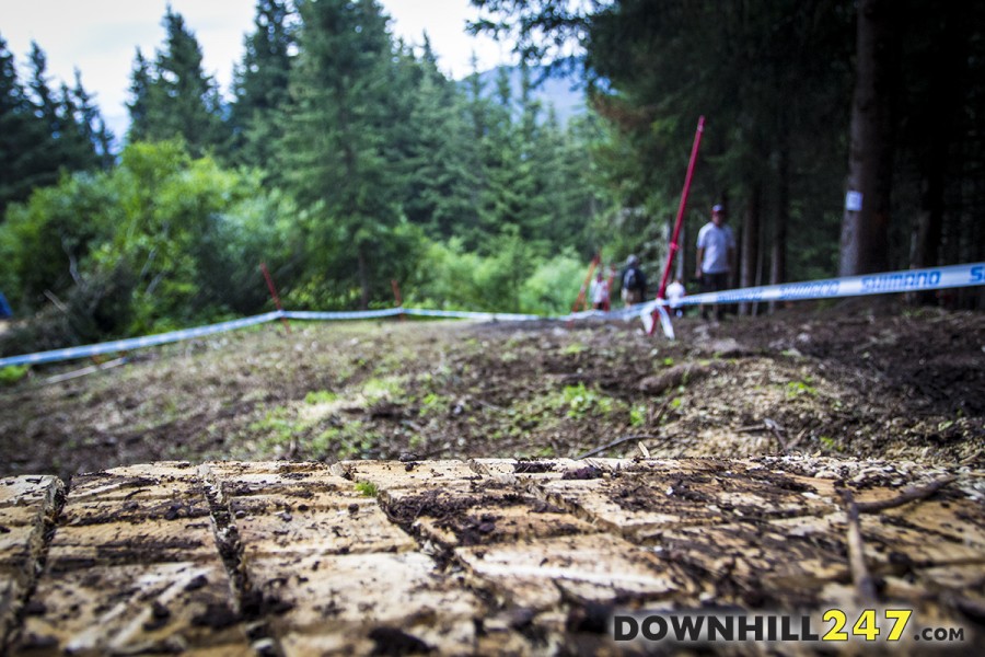 Classic grooves were cut into stumps down the course, chances are if you need them though you're on the wrong line!