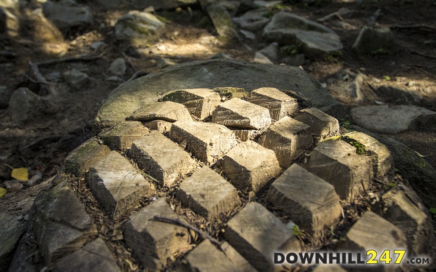 This wooded section features a mix of rocks and roots, if it rains this will be even more wild!