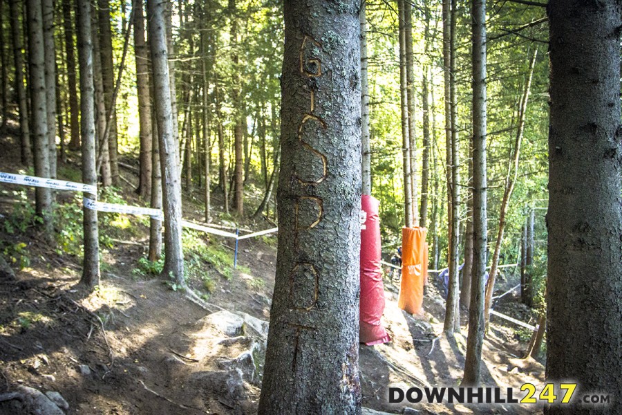 G - Spot! This tree decided an overall world cup series, named as Gee Atherton shouldered this tree in the 2013 finals effectively giving Stevie Smith the overall title.