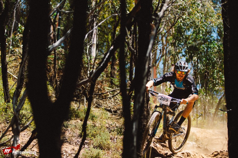 Weaving in and out of the trees at Fox Creek.