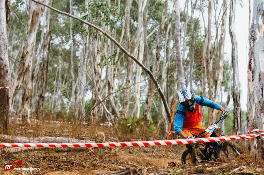 Lucas Pitt winding through the trees.