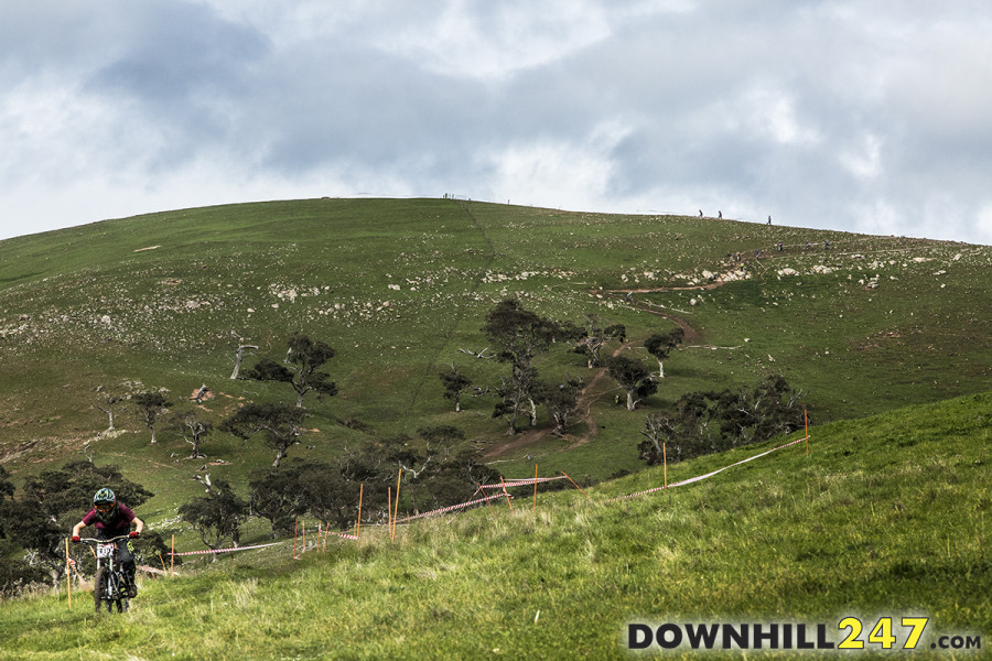 You can actually see the majority of the track from near the bottom as it winds up the hill.