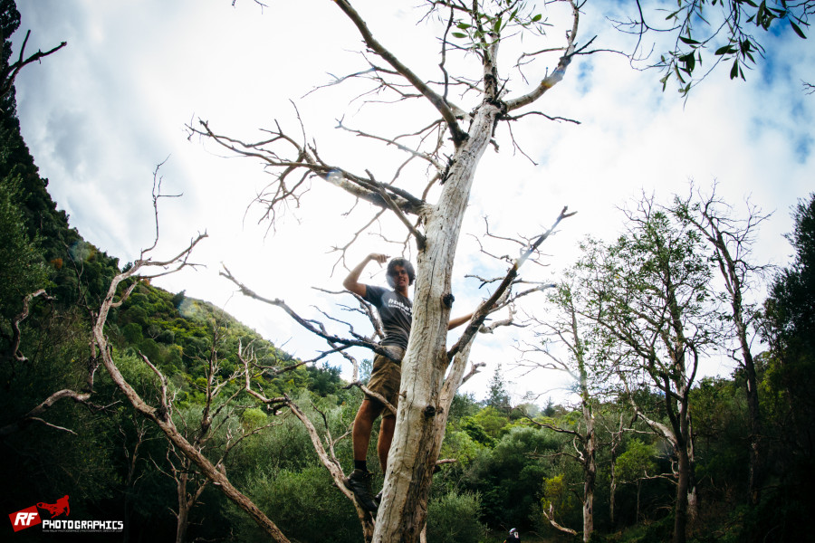 Hanging in trees getting them different camera angles