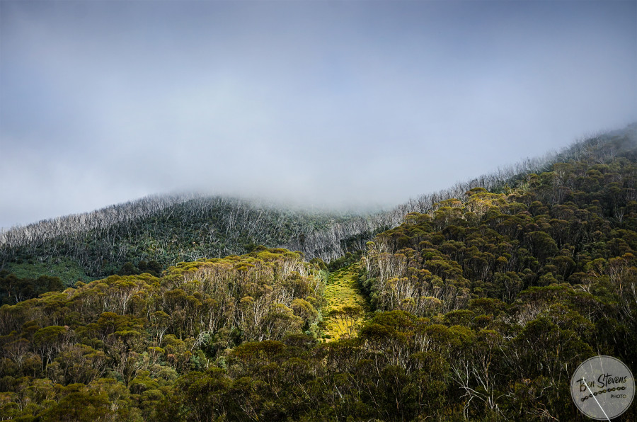 With think cloud and fog rolling in.