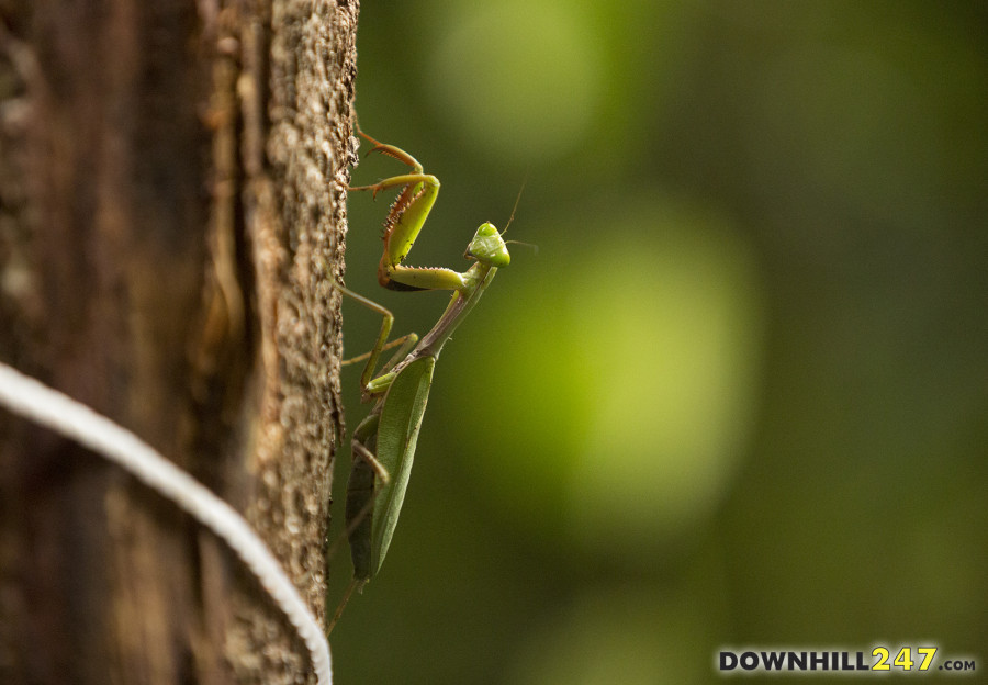 Cairns has some interesting wildlife but we are not the Irwins so let's get on with it...