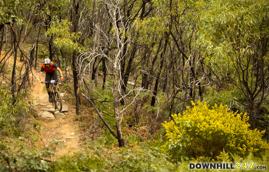 downhill247com enduro 18